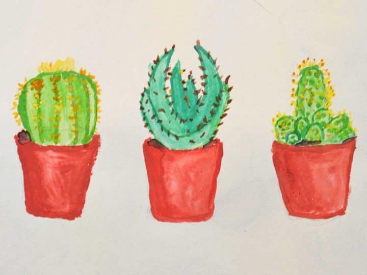 cactus crafts