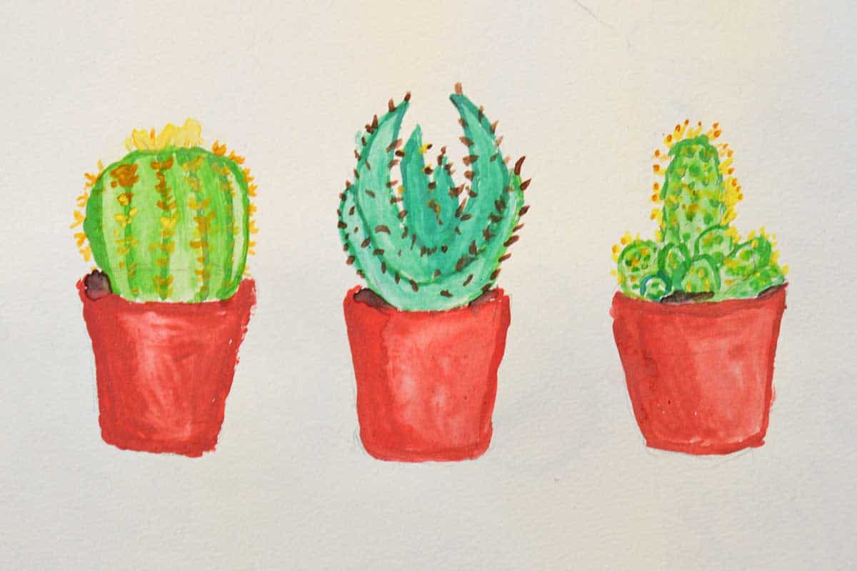 cactus crafts