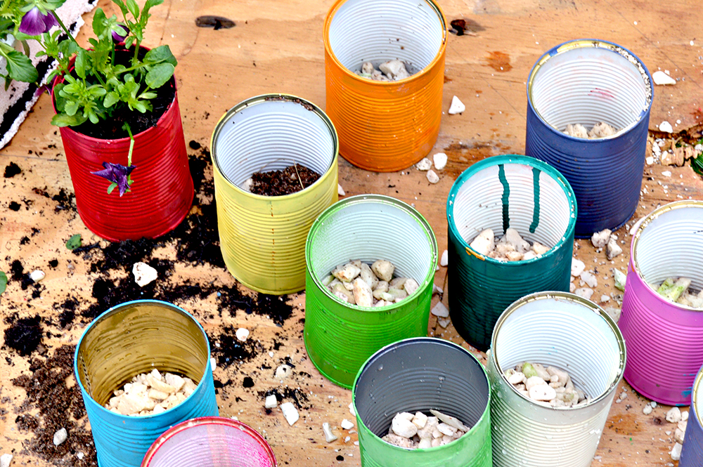 Preparing the tin can planters for planting