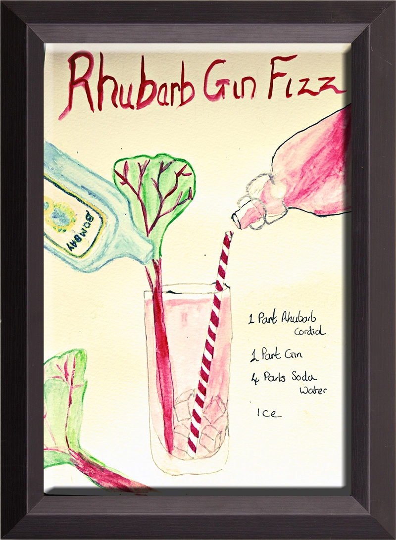 rhubarb gin fizz illustraion