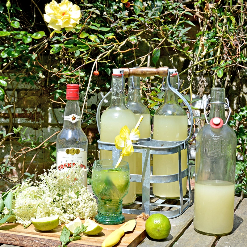 Elderflower champagne mojito2