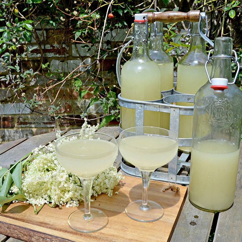 Homemade Elderflower Champagne Pillarboxblue