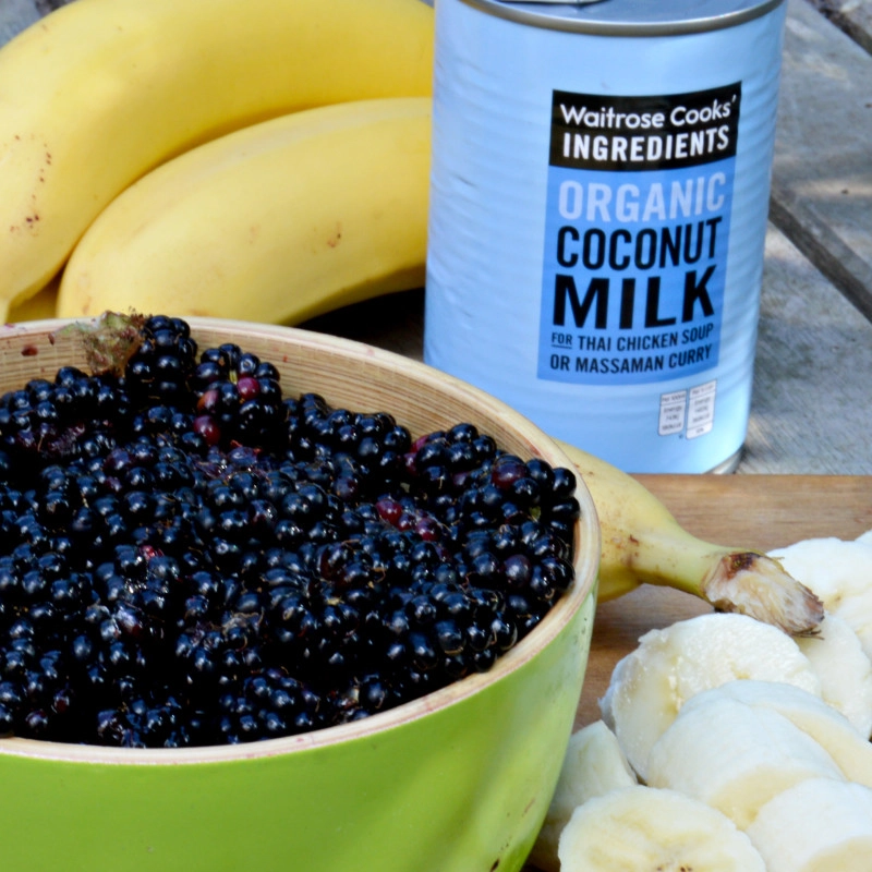 Blackberry ice cream ingredients