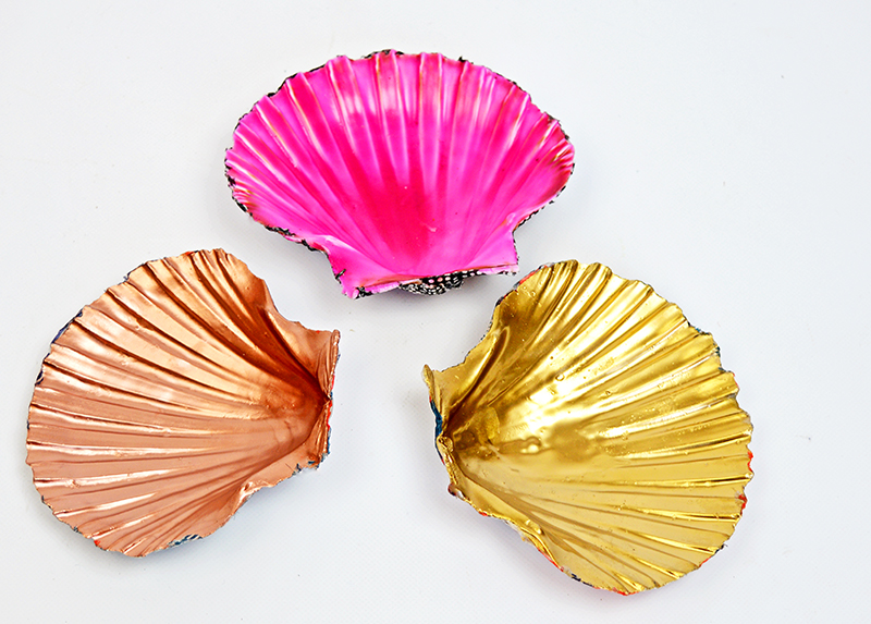 Scallop shell trinket dishes pillarboxblue.com