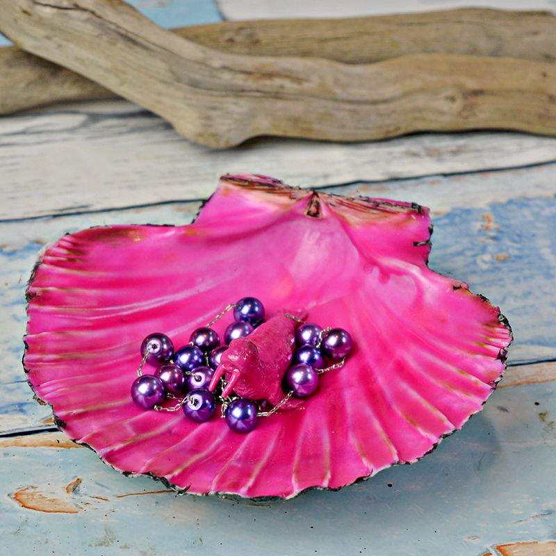 Scallop Shell Trinket Dish Beach Home Decor Gift Idea Seashell Jewelry Dish