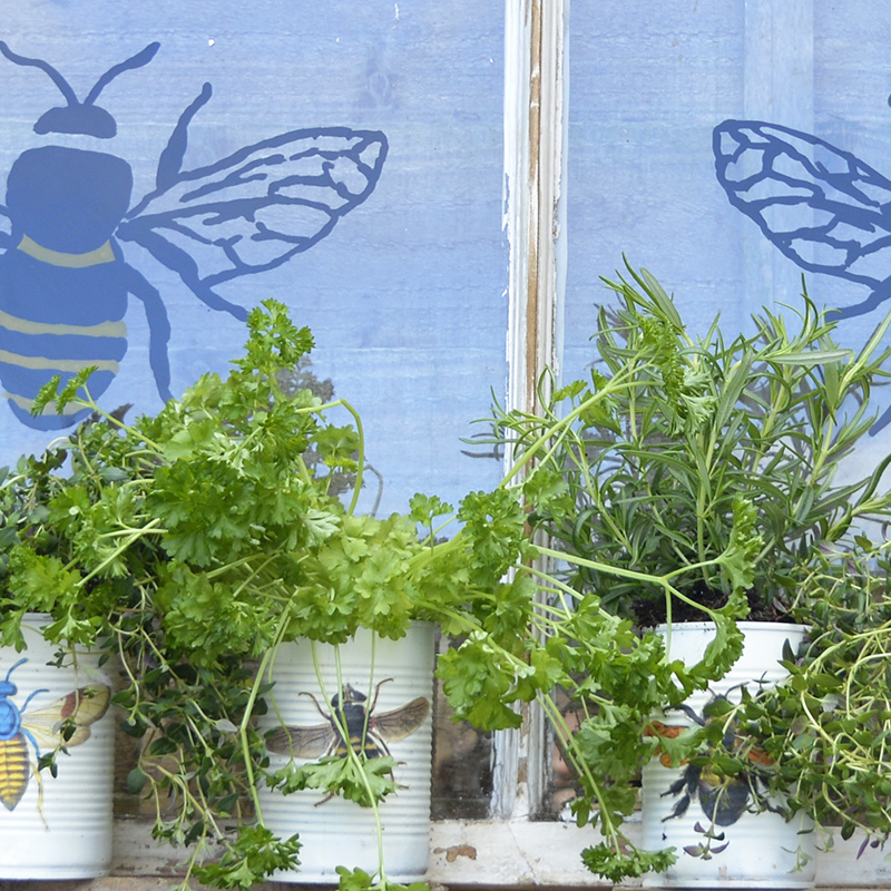 Upcycled window herb planter - pillarboxblue.com