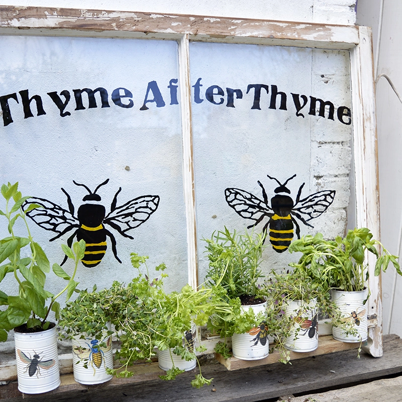 Upcycled window herb planter - free tutorial and template Pillarboxblue.com