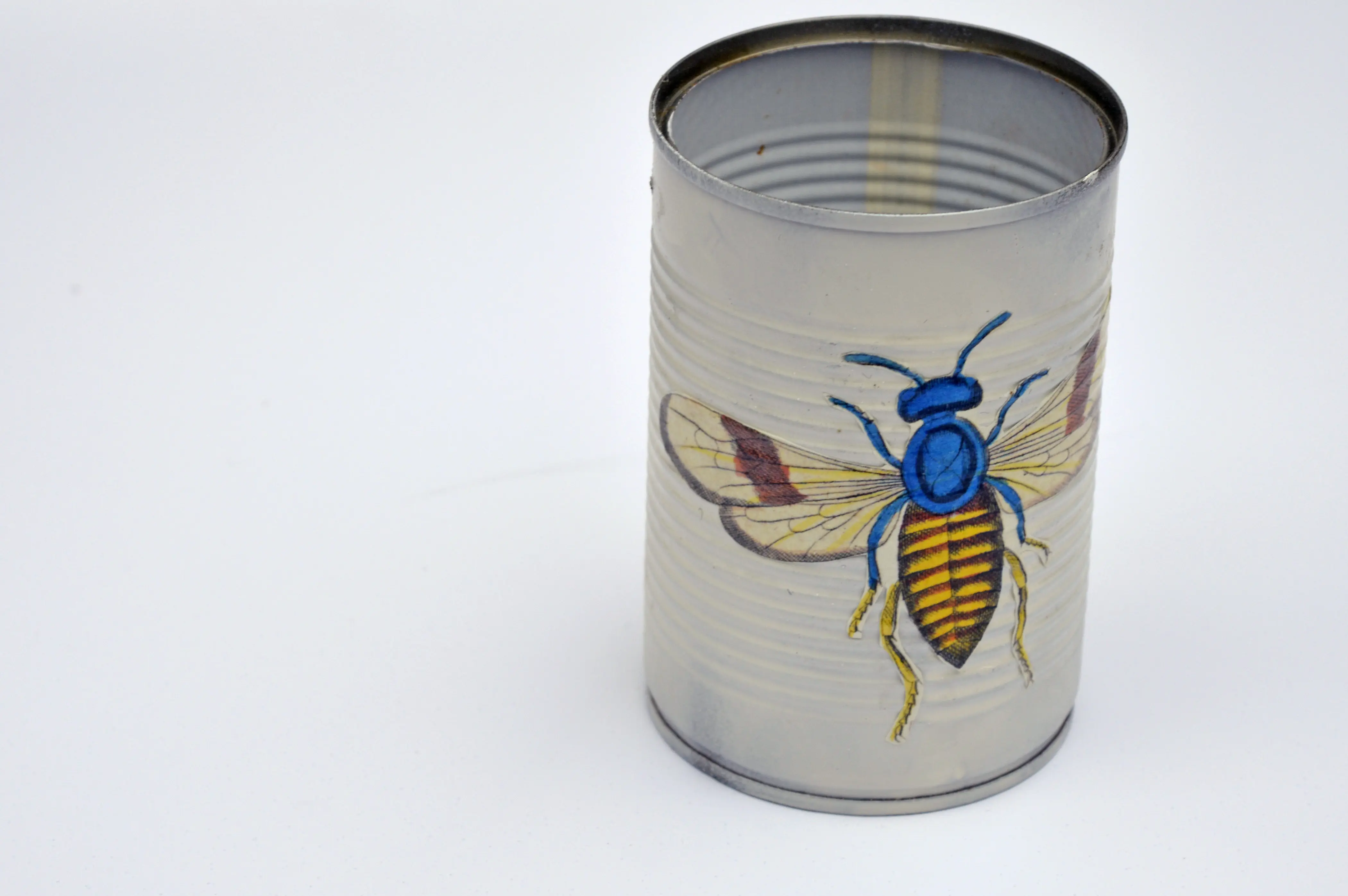 Sticking insect to front of tin can