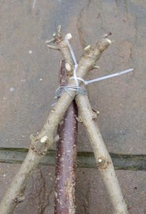 securing third branch with cable ties