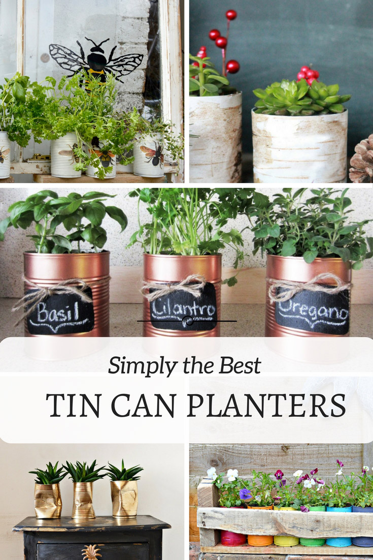 Tin Can Planters: Tin cans are great for upcycling into herb planters. You achieve many styles, from colorful, to farmhouse, rustic industrial and glam.