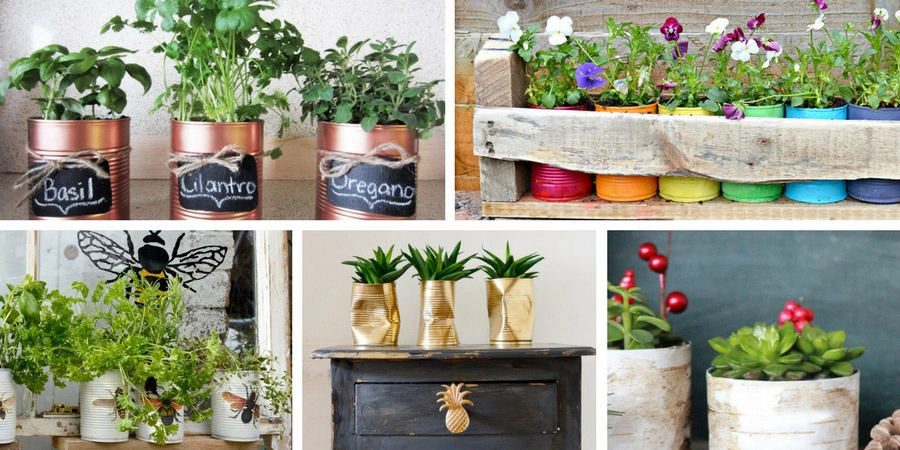The best tin can planters. Tin cans make for great planters and here are five of the best ideas.