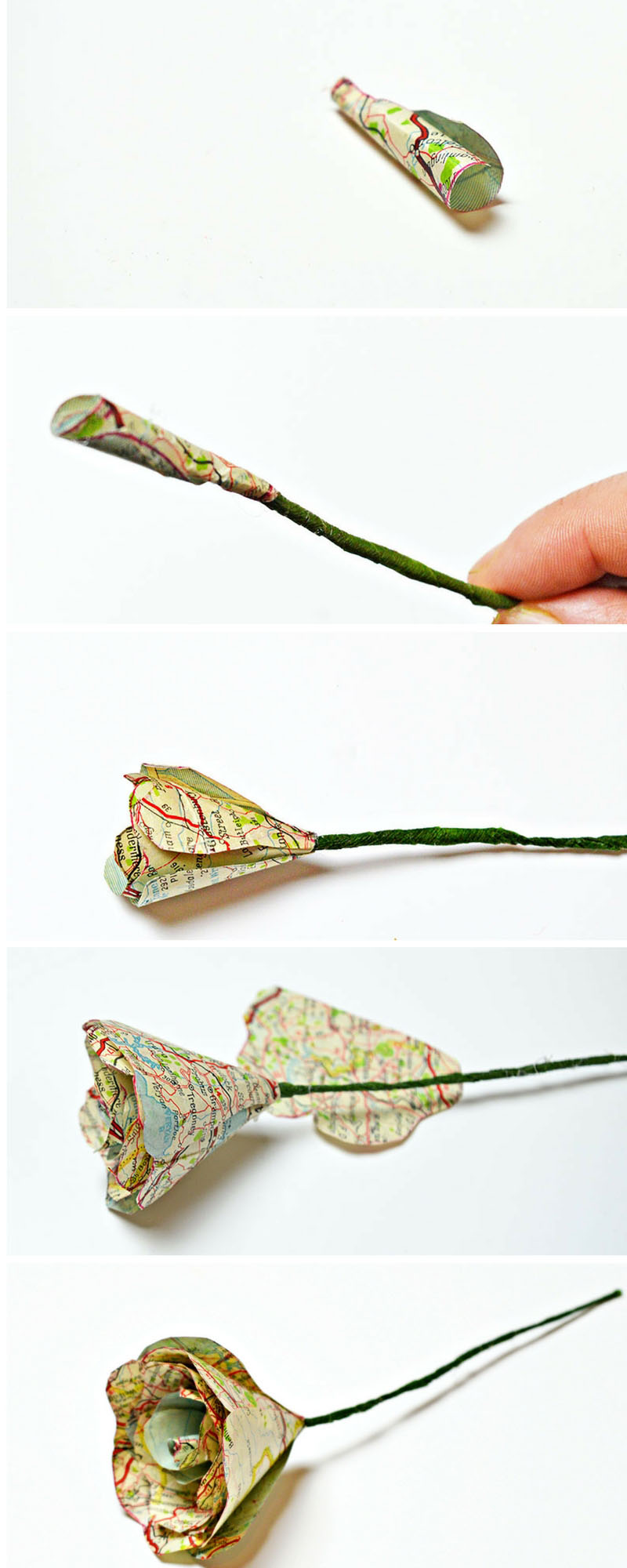 How to make gorgeous map roses for valentine's day.