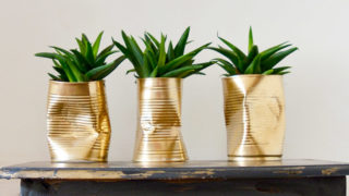 Make some unique diy planters. Crushed shabby glam gold tin can planters.