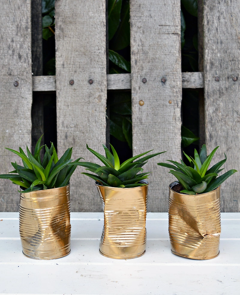 Trio of shabby glam upcycled crushed gold can diy planter.  