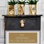 Pineapple DIY planters