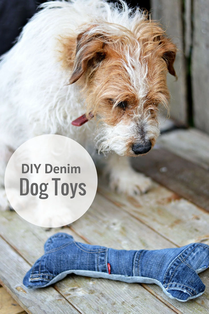 DIY Dog Toys Made From Common Household Items