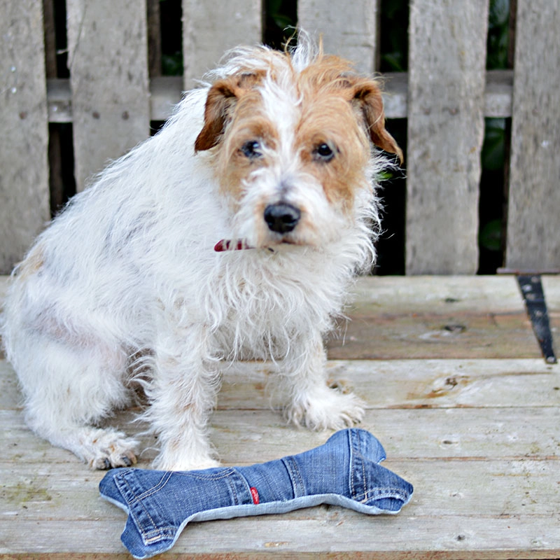 Make your dog the coolest handmade dog toys from your old jeans.