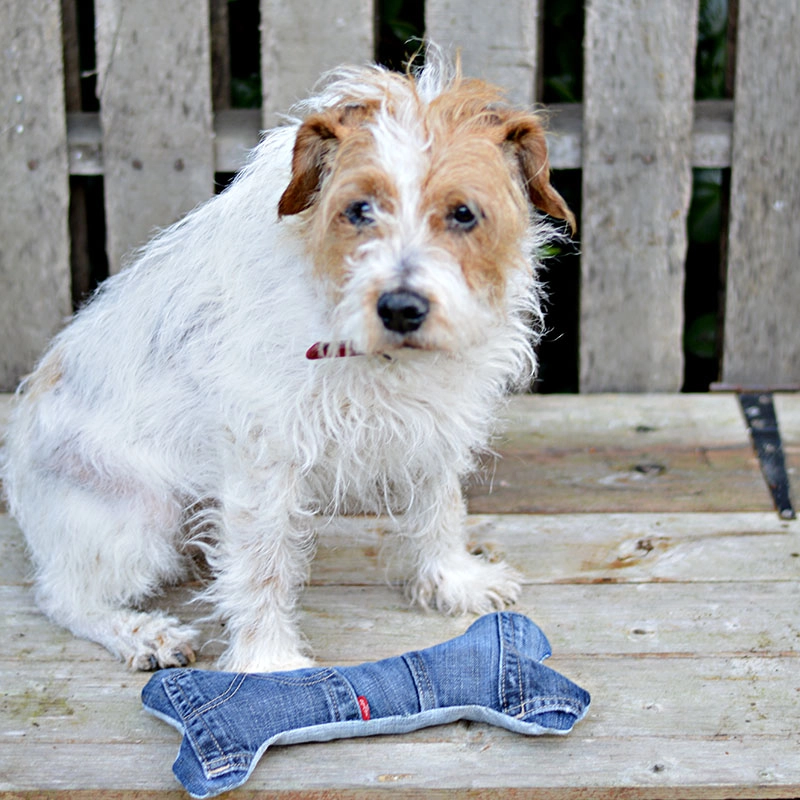 DIY Christmas Stocking Dog Toy - Swoodson Says