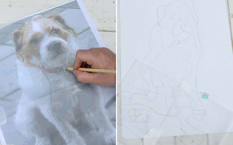 Tracing round dog photo