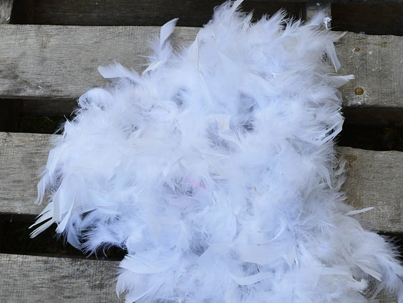 white feather boa