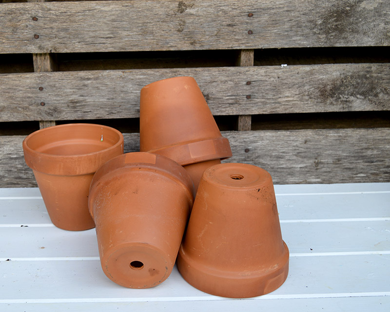 terracotta pots