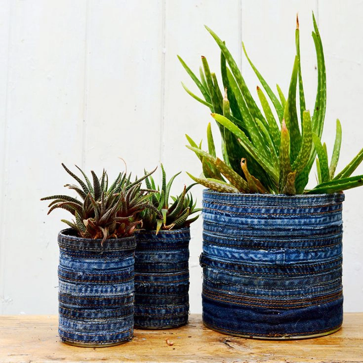 How to make goregous upcycled planters for your succulents. Just using tin cans and recycled jeans. Full tutorial no sewing involved.