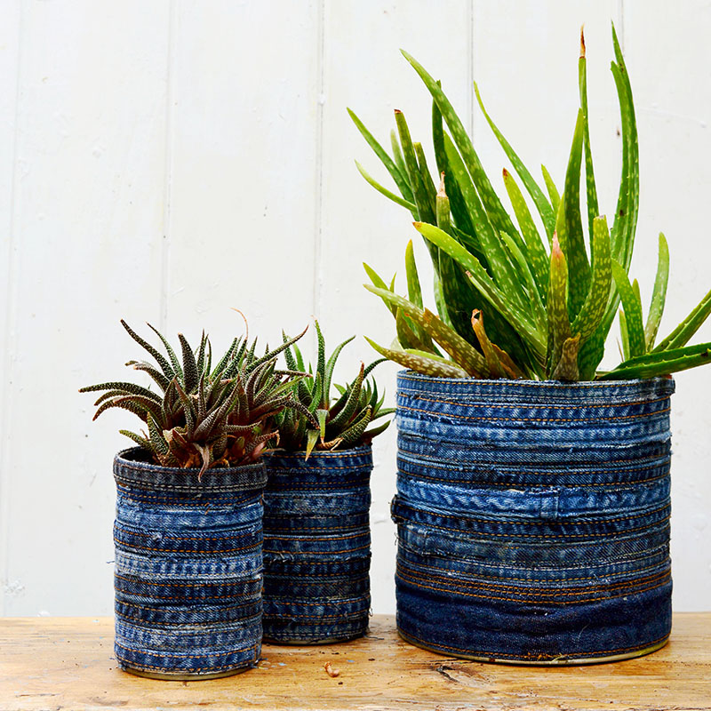 How to make goregous upcycled planters for your succulents. Just using tin cans and recycled jeans.  Full tutorial no sewing involved.