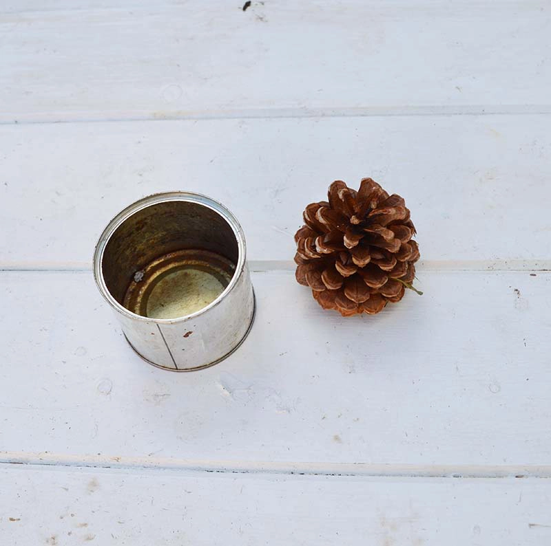 Pine cone and tin can