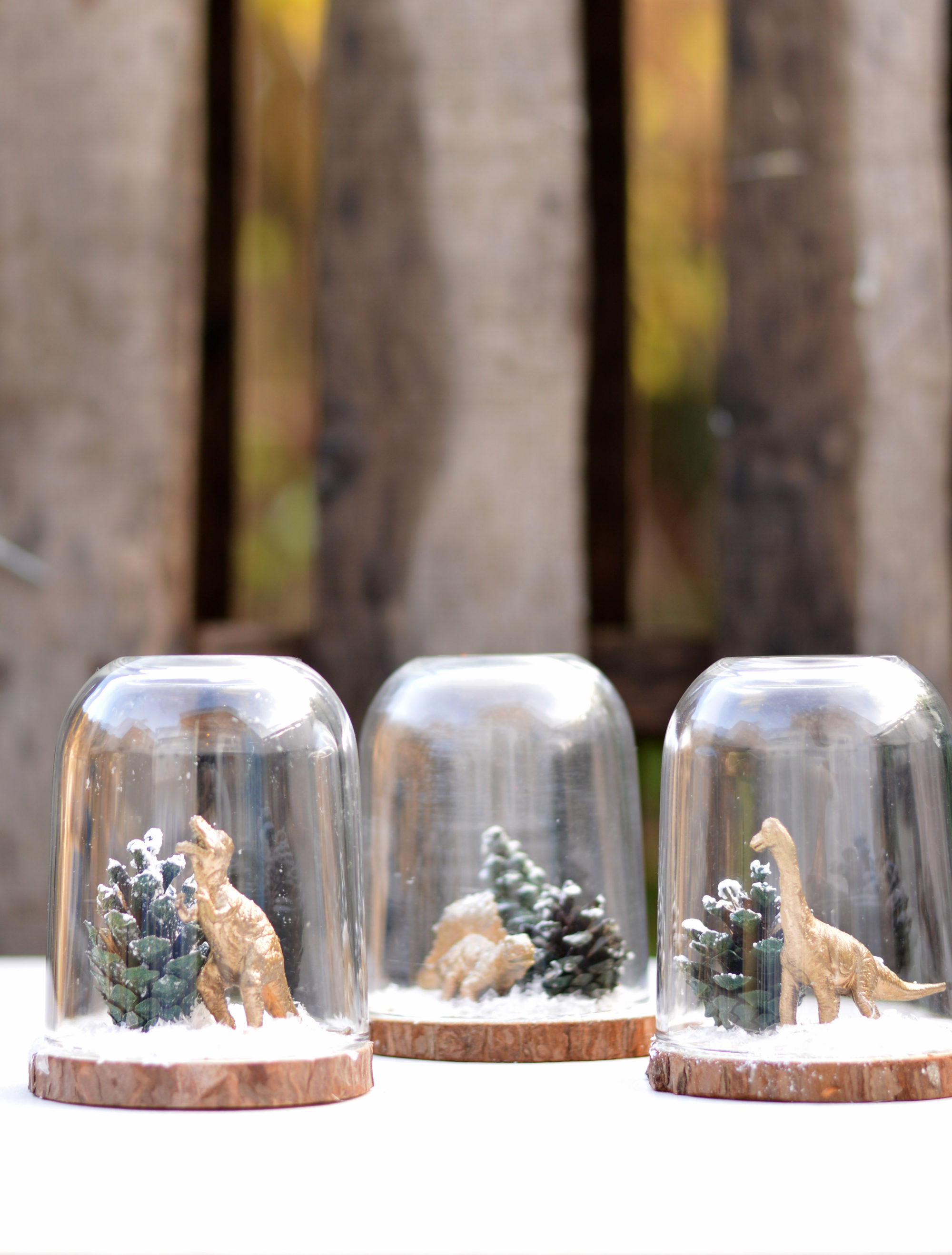 Add some fun to your Christmas decorations by repurposing a Nutella jar and making a super cute min Christmas Cloche (dinosaur terrarium).