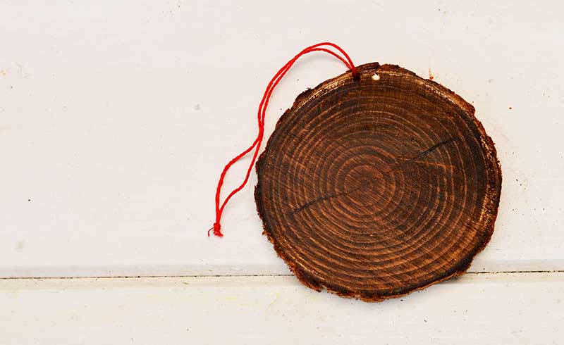 Staining the wood slice