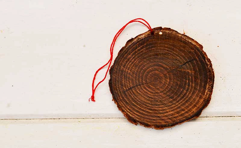 Staining the wood slice