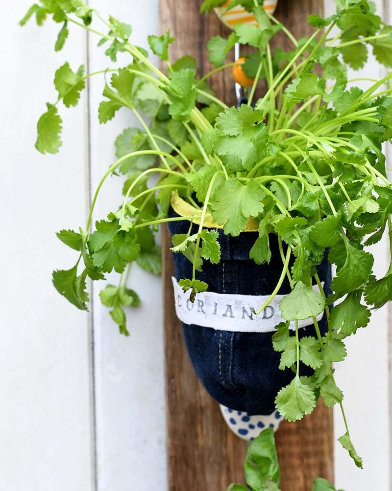 upcycled denim planter coriander