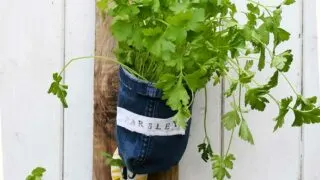 Indoor herb garden planter