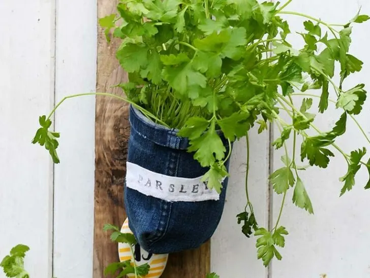 Indoor herb garden planter