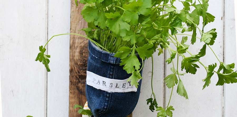 How To Make Indoor Herb Garden Planters From Denim Pillar Box Blue How To Make Indoor Herb Garden Planters From Denim