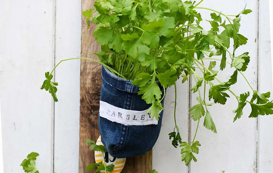 Indoor herb garden planter