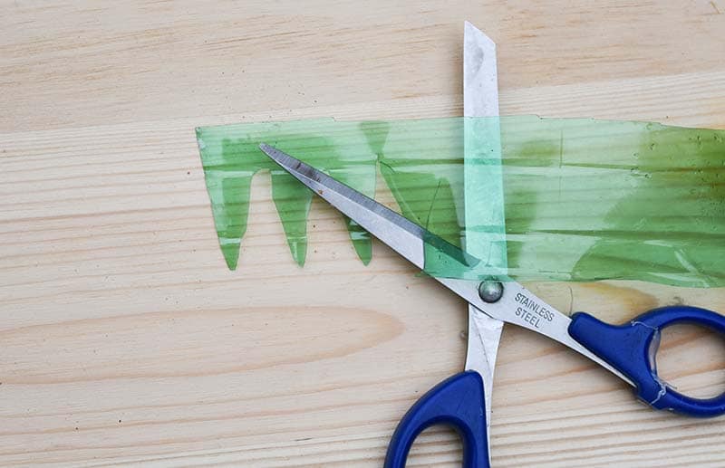 cutting plastic bottle leaves