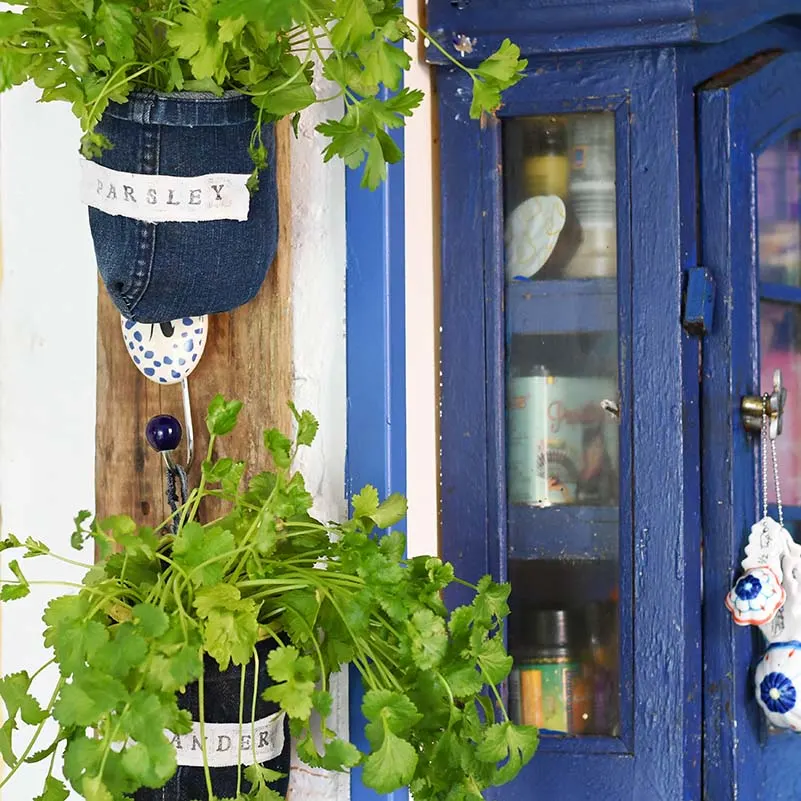 Indoor upcycled denim herb garden