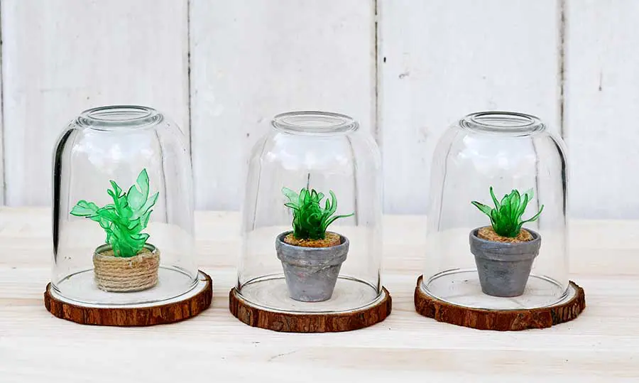 Mini faux succulent terrariums from plastic bottle