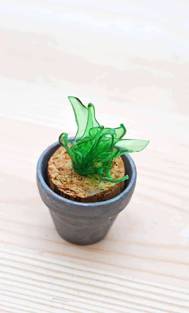 mini faux succulent from plastic bottle.