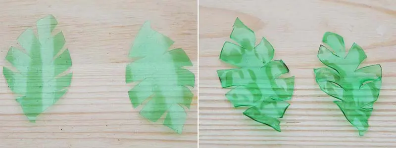 tropical leaf plastic bottle