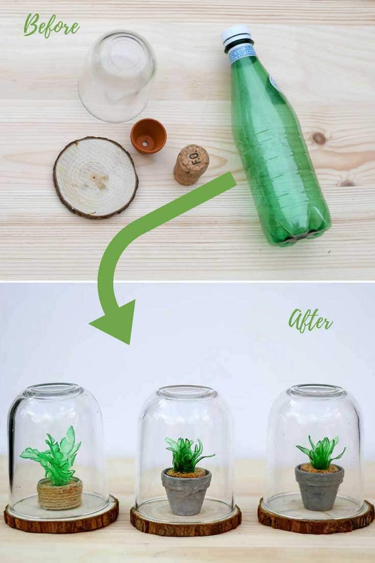plastic bottle succulents