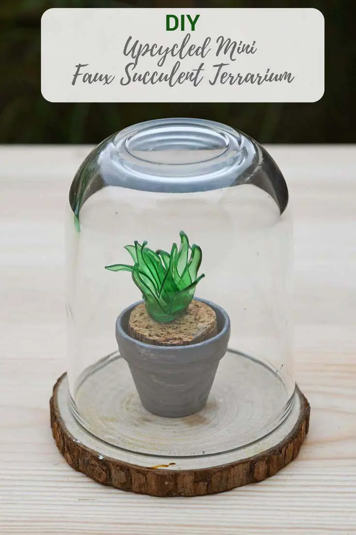 Plastic bottle craft mini faux succulents terrarium