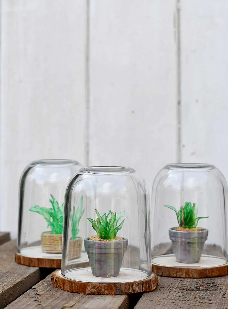 Plastic bottle craft mini faux succulents terrarium