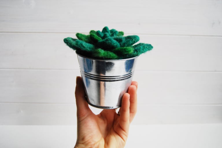 Needle felted succulents