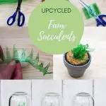 upcycled plastic bottle faux succulents