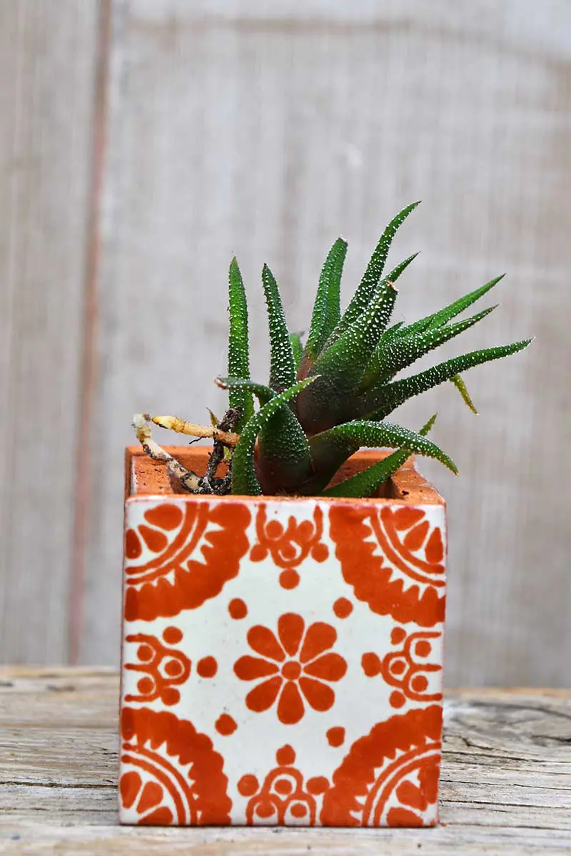 DIY boho square tiled Mexican Planter small