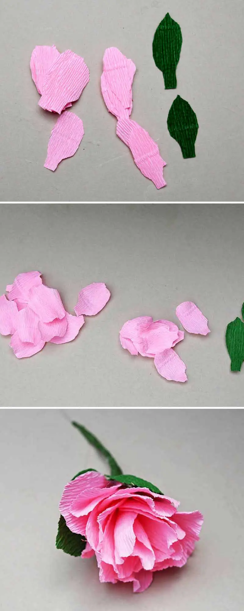 Making pink peonies for paper flower wall decoration
