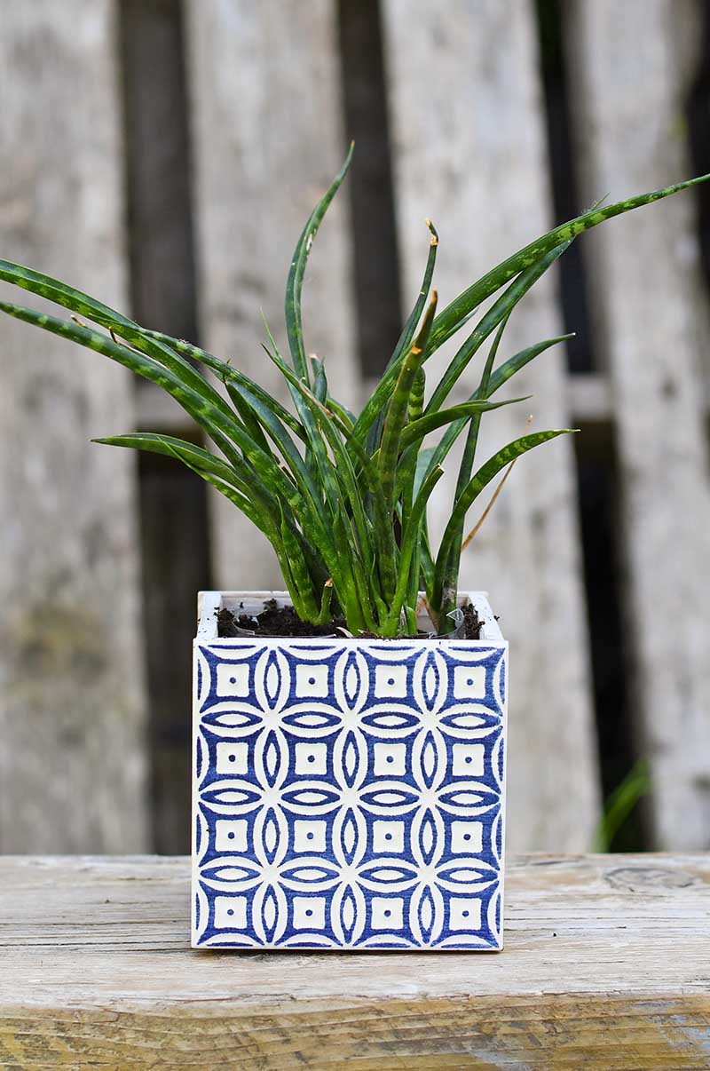 DIY Blue Moroccan tiled Planter