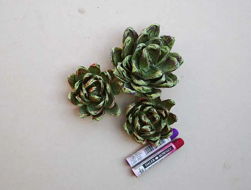 Crepe paper succulents coloured with oil pastels